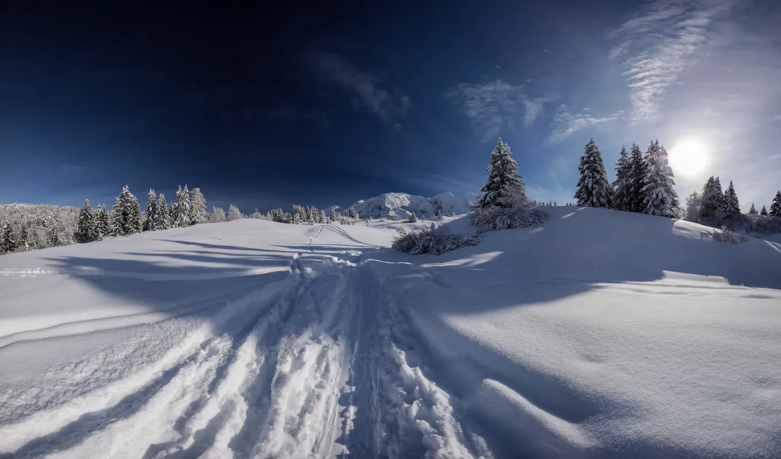 A vast snow-covered alpine face under clear winter light